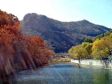 新澳天天开奖资料大全旅游团，异幻小说